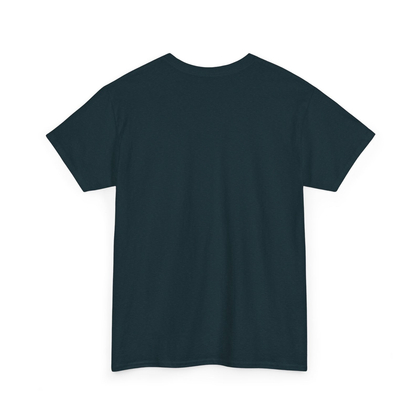 i'm not like the other girls i'm a man meme T-shirt